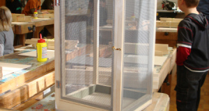 Kurs Schmetterling 09_1