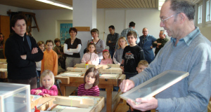Kurs Schmetterling 09_3