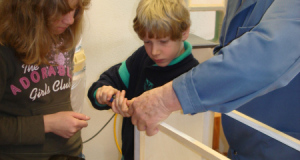 Kurs Schmetterling 09_10