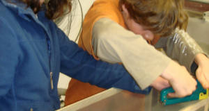 Kurs Schmetterling 09_14