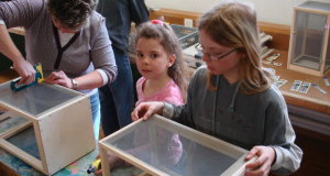 Kurs Schmetterling 09_16