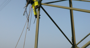 Turmfalke 09_1