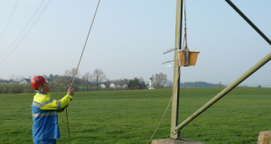 Turmfalke 09_2