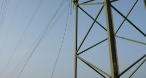 Turmfalke 09_3