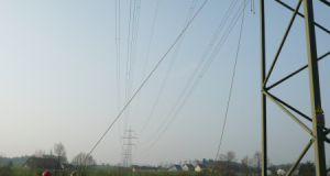 Turmfalke 09_4