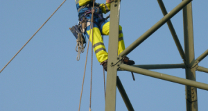Turmfalke 09_6