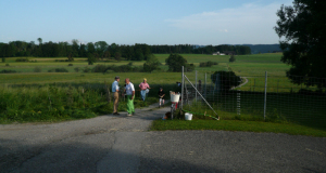 Goldrutenmaehen 25.05.2009 001 (1)