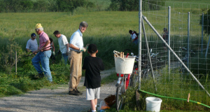 Goldrutenmaehen 25.05.2009 001 (2)
