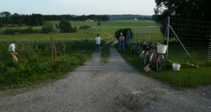 Heckenpflege alte Gaerten Riet 27.05 (4)