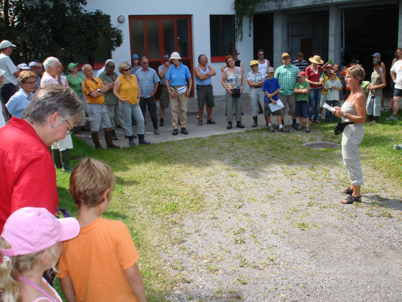 Zuzwil, NS-Riet, 16 08 09 002