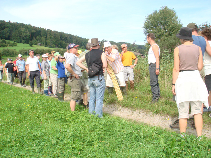 Zuzwil, NS-Riet, 16 08 09 004