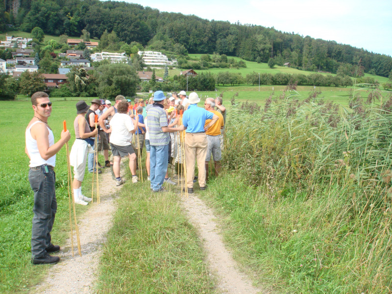 Zuzwil, NS-Riet, 16 08 09 005