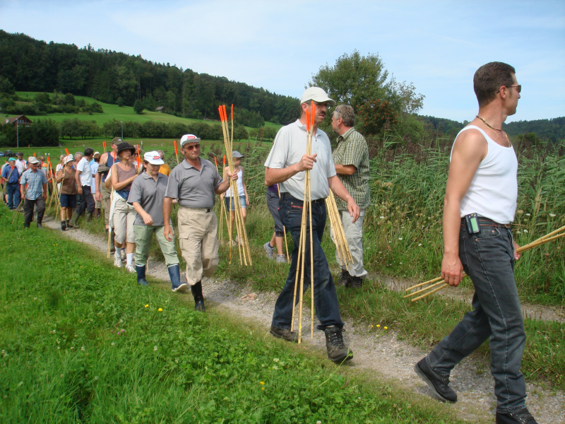 Zuzwil, NS-Riet, 16 08 09 006