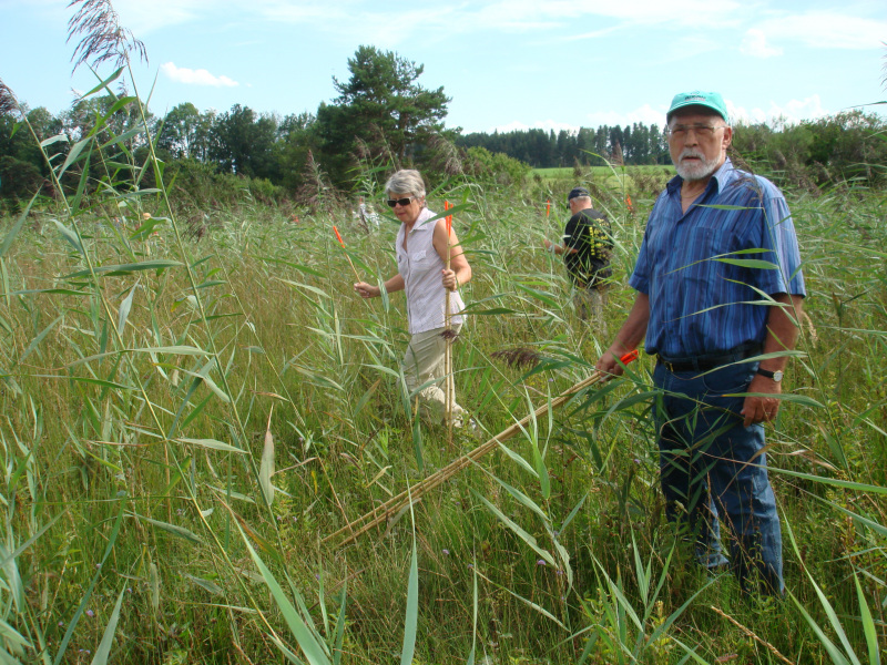 Zuzwil, NS-Riet, 16 08 09 011