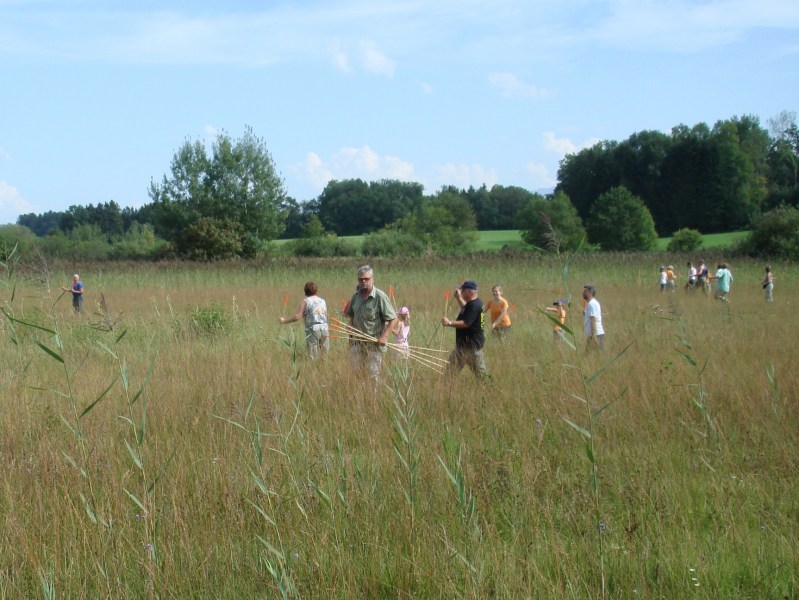 Zuzwil, NS-Riet, 16 08 09 020