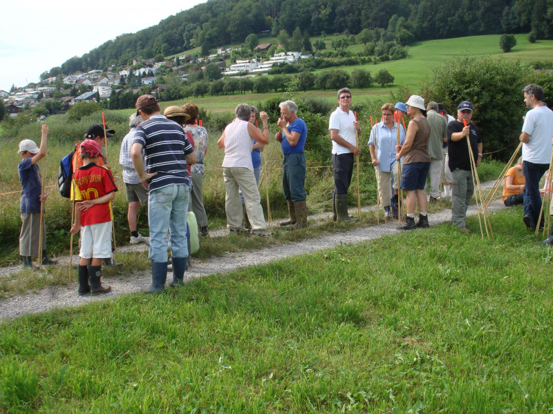 Zuzwil, NS-Riet, 16 08 09 029