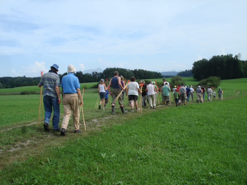 Zuzwil, NS-Riet, 16 08 09 036