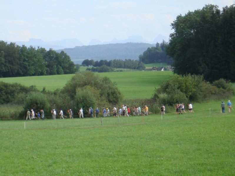 Zuzwil, NS-Riet, 16 08 09 037