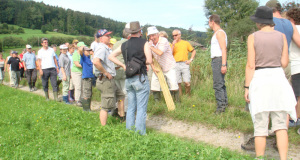 Zuzwil, NS-Riet, 16 08 09 004