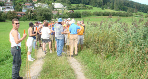Zuzwil, NS-Riet, 16 08 09 005