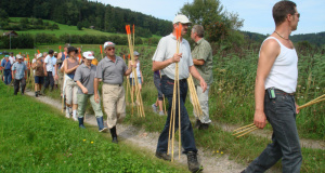 Zuzwil, NS-Riet, 16 08 09 006
