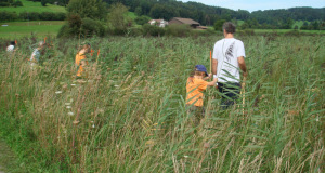 Zuzwil, NS-Riet, 16 08 09 008