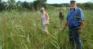 Zuzwil, NS-Riet, 16 08 09 011