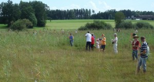 Zuzwil, NS-Riet, 16 08 09 012