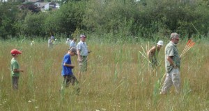 Zuzwil, NS-Riet, 16 08 09 015