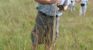 Zuzwil, NS-Riet, 16 08 09 017