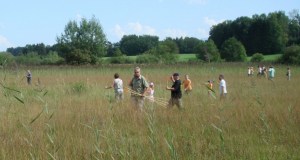 Zuzwil, NS-Riet, 16 08 09 020