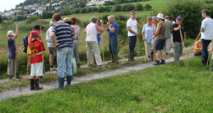 Zuzwil, NS-Riet, 16 08 09 029