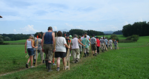 Zuzwil, NS-Riet, 16 08 09 035