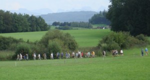 Zuzwil, NS-Riet, 16 08 09 037