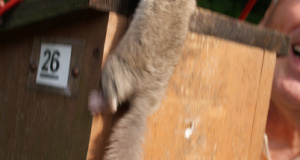 SONY DSC