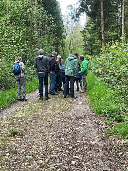 Wilerwald_23
