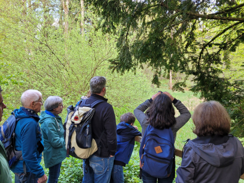 Wilerwald_23