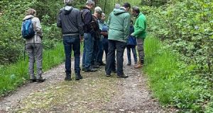 Wilerwald_23
