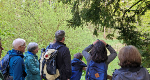 Wilerwald_23