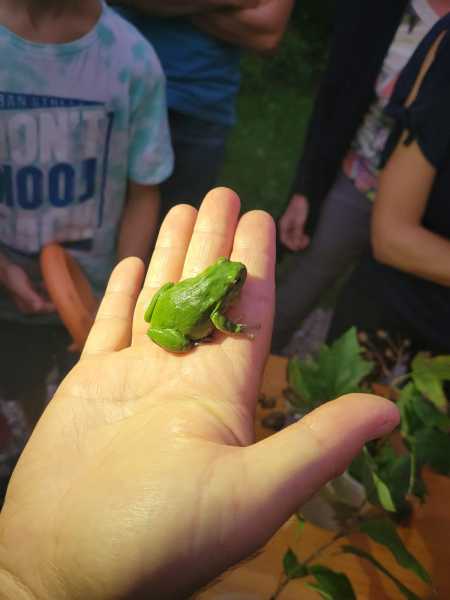 Wildfruechte 23