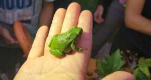 Wildfruechte 23