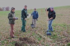 Hecke Meier 06 11 10 001 (1)