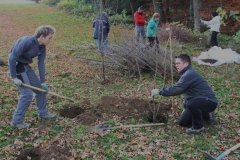 Hecke Meier 06 11 10 001 (3)