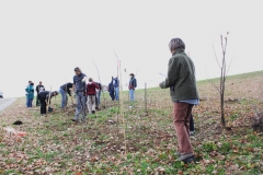 Hecke Meier 06 11 10 001 (5)