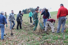 Hecke Meier 06 11 10 001 (6)