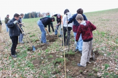 Hecke Meier 06 11 10 001 (7)