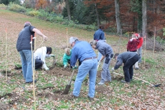 Hecke Meier 06 11 10 001 (8)
