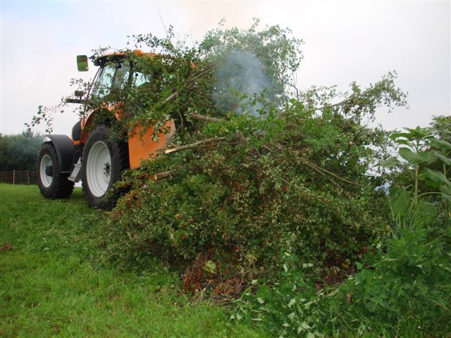 Hecke Bernegg Weissdorn, 18.08.2007 014 (11)