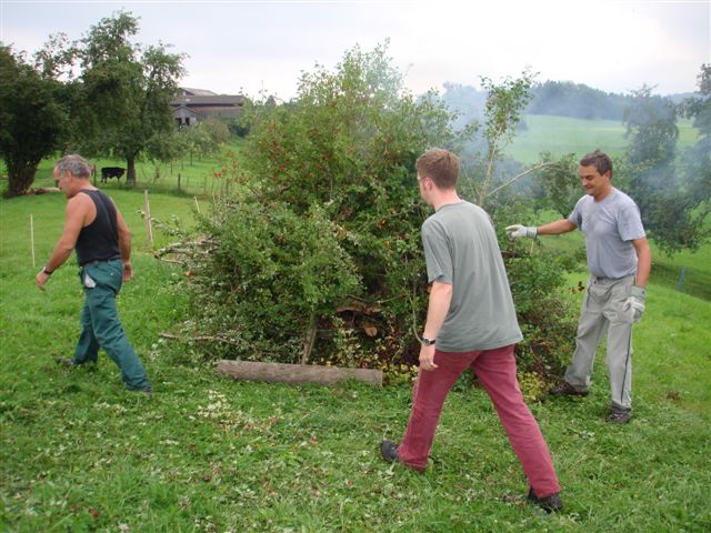 Hecke Bernegg Weissdorn, 18.08.2007 014 (15)