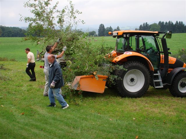 Hecke Bernegg Weissdorn, 18.08.2007 014 (22)